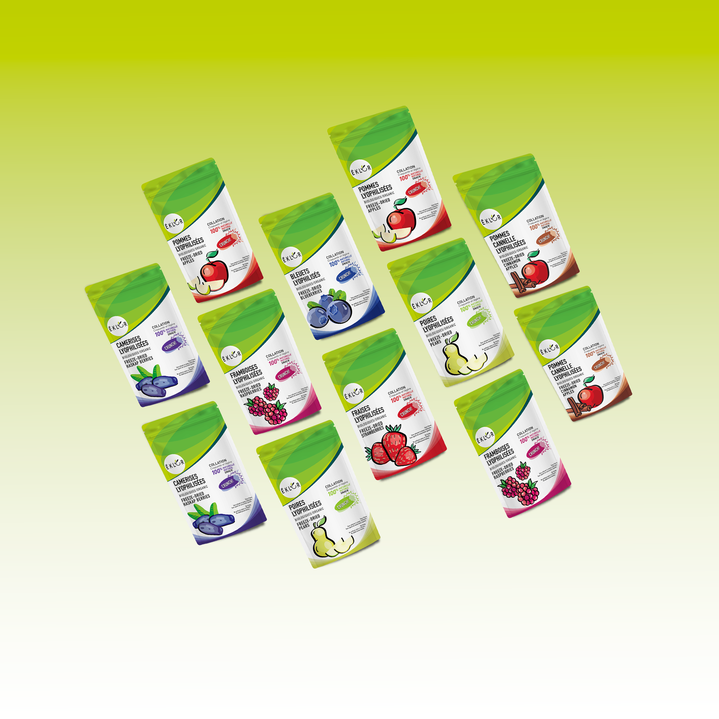 BOITE FRUITÉE 🍎 (Ensemble de 12)