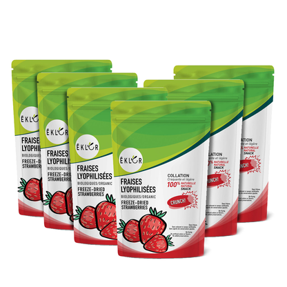 FRAISES LYOPHILISÉES BIOLOGIQUES – Ensemble économique (6)