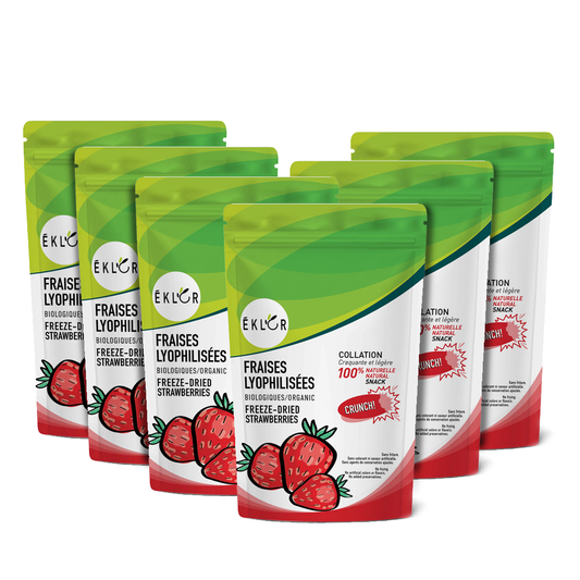 FRAISES LYOPHILISÉES BIOLOGIQUES – Ensemble économique (6)